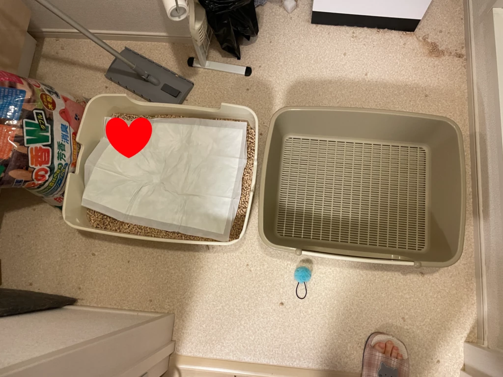 猫の採尿用に設置した猫トイレ二点。猫砂のないシステムトイレと猫砂の上にトイレシーツを裏返しに置いたトイレ
