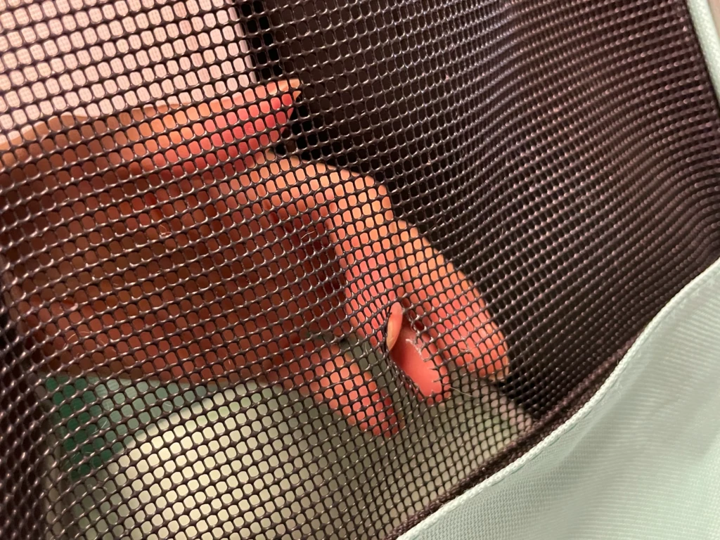 キャリーバッグ横に縫い付けられたメッシュ部分に穴が空いている