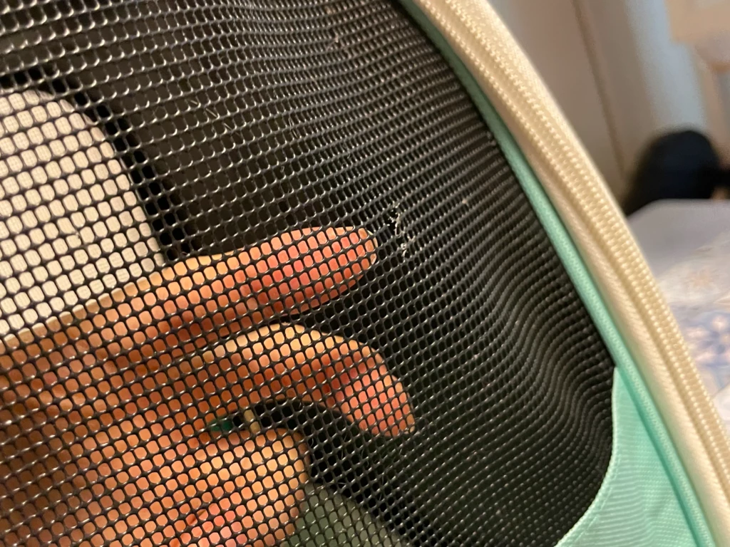 メッシュ部分に空いた穴、その２